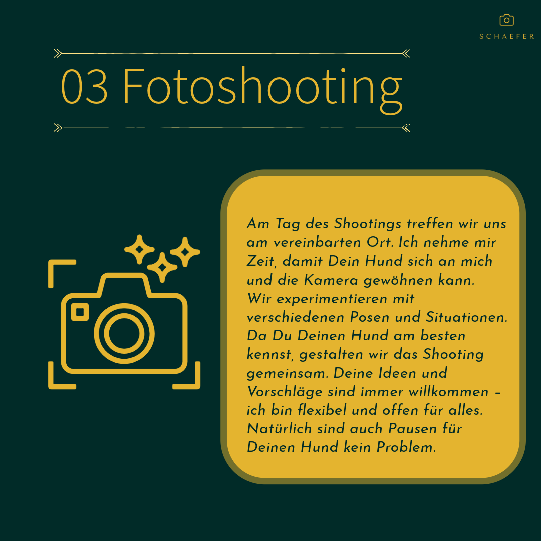 03 Fotoshooting